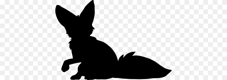Fox Gray Free Png Download