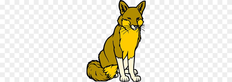 Fox Baby, Person, Animal, Mammal Png Image