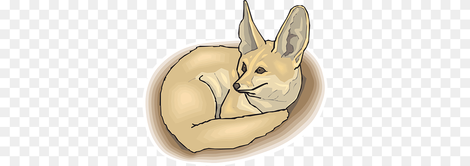 Fox Animal, Mammal, Kit Fox, Wildlife Free Png Download