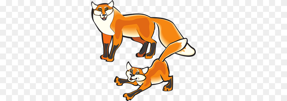 Fox Animal, Mammal, Wildlife, Canine Free Transparent Png