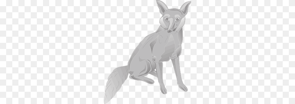 Fox Animal, Mammal, Coyote, Cat Free Transparent Png