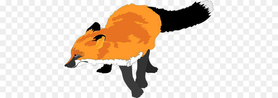 Fox Person, Animal, Canine, Mammal Free Transparent Png