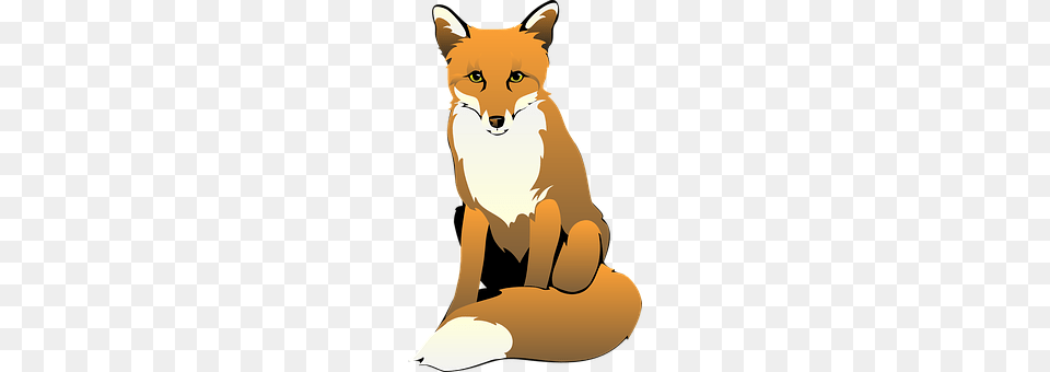 Fox Baby, Person, Animal, Red Fox Free Png Download