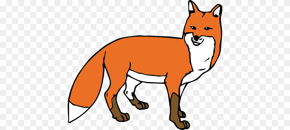 Fox, Animal, Canine, Mammal, Red Fox Png