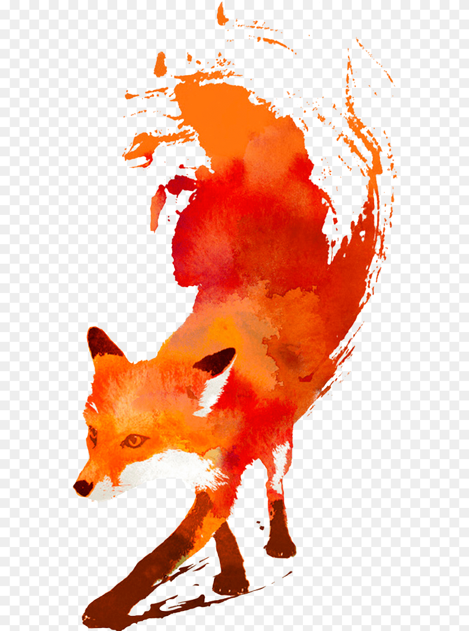 Fox, Mammal, Animal, Canine, Wildlife Free Transparent Png