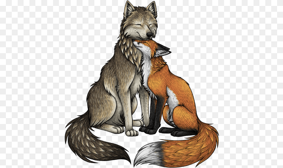 Fox And A Wolf, Mammal, Animal, Wildlife, Person Png Image