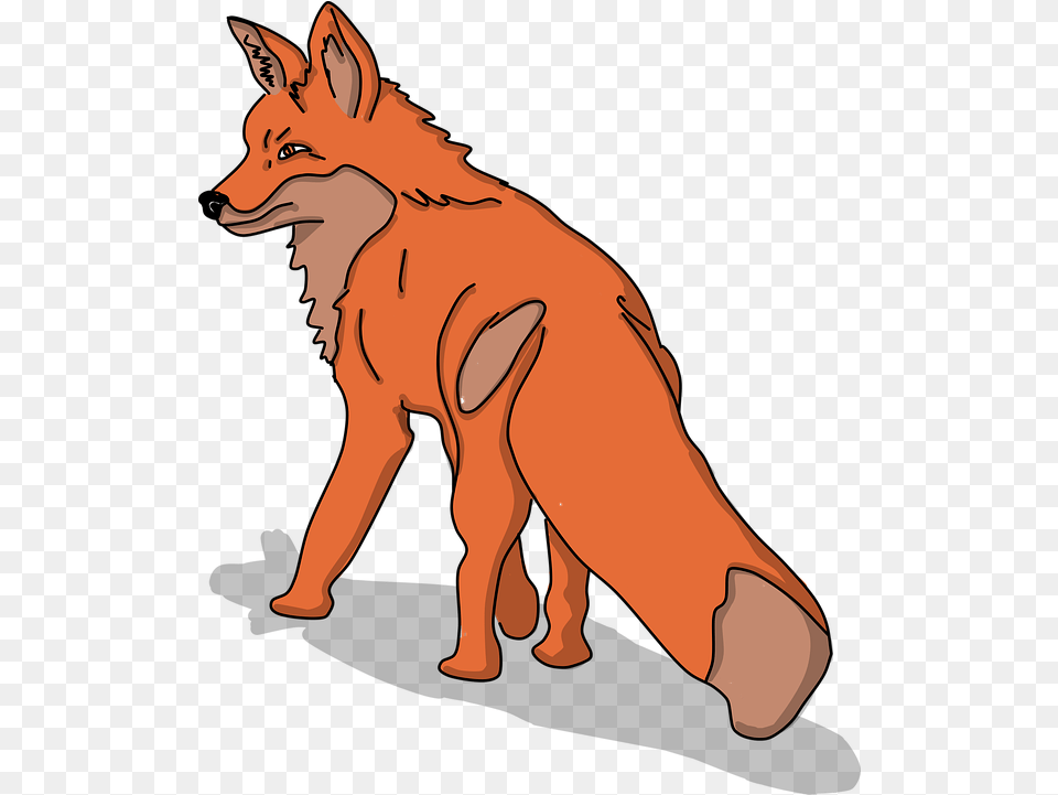 Fox Animal Animals Vector Graphic On Pixabay Wolfdog, Coyote, Mammal, Person, Canine Free Png Download