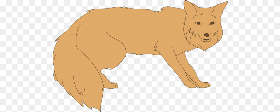 Fox Animal Tail Fur Transparent Clipart Vectors Puma, Coyote, Mammal, Baby, Person Png Image