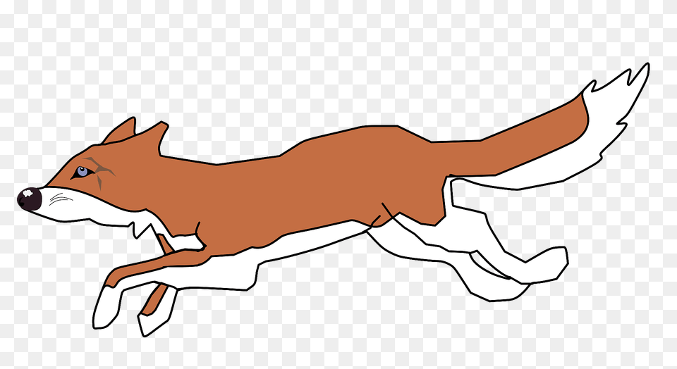 Fox Clipart, Animal, Fish, Sea Life, Shark Png Image