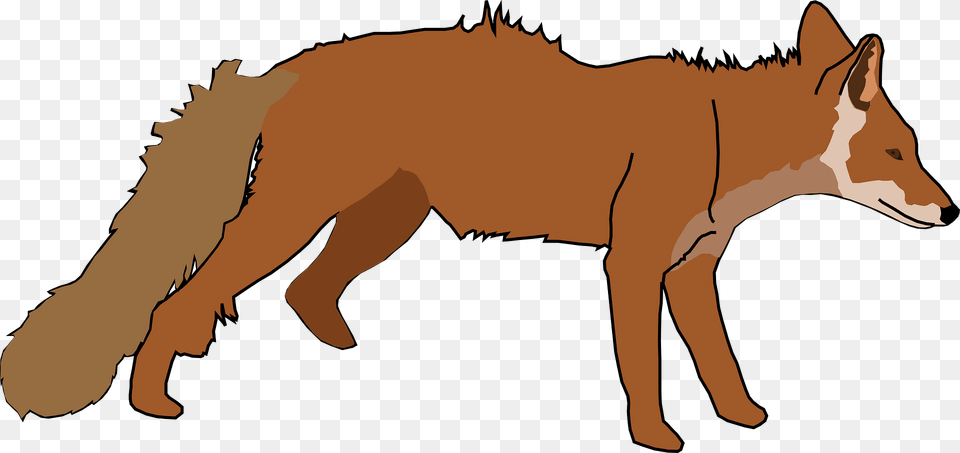 Fox Clipart, Animal, Coyote, Mammal, Red Fox Free Transparent Png