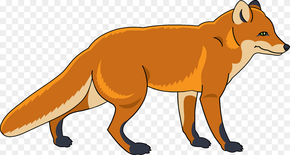 Fox Clipart, Animal, Canine, Mammal, Red Fox Free Png Download