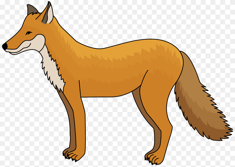 Fox Clipart, Animal, Kangaroo, Mammal, Canine Png Image