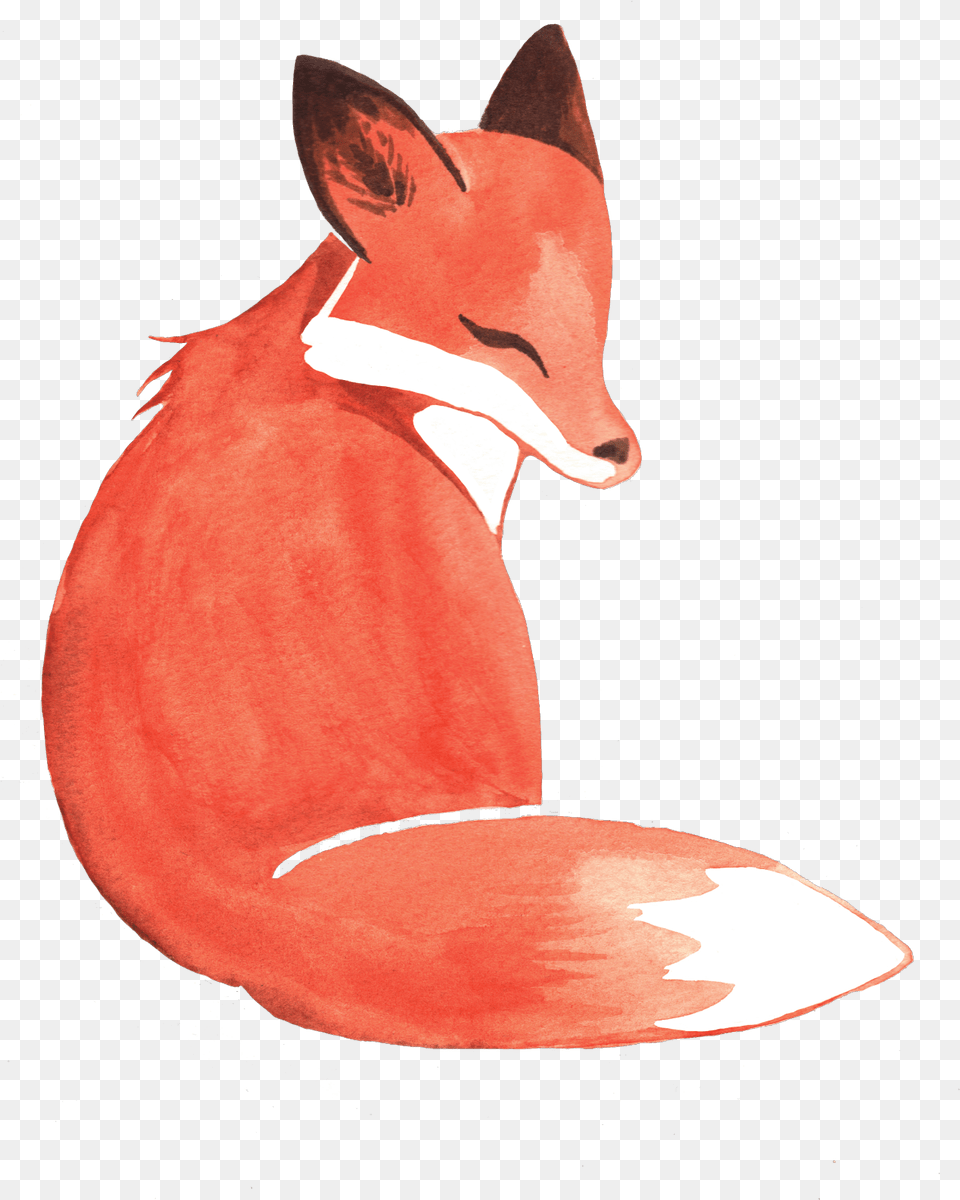 Fox Clipart Watercolor Transparent For Watercolor Fox Sticker, Animal, Mammal, Wildlife, Bird Free Png