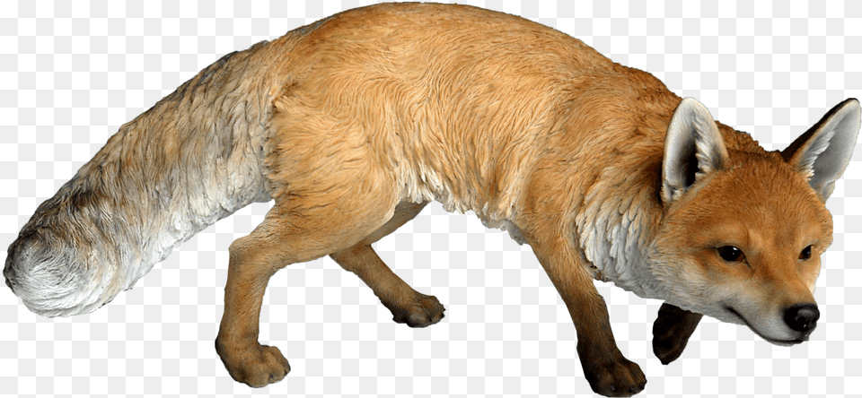 Fox Eyes Stickers Vivid Arts Prowling Fox, Animal, Canine, Dog, Mammal Png