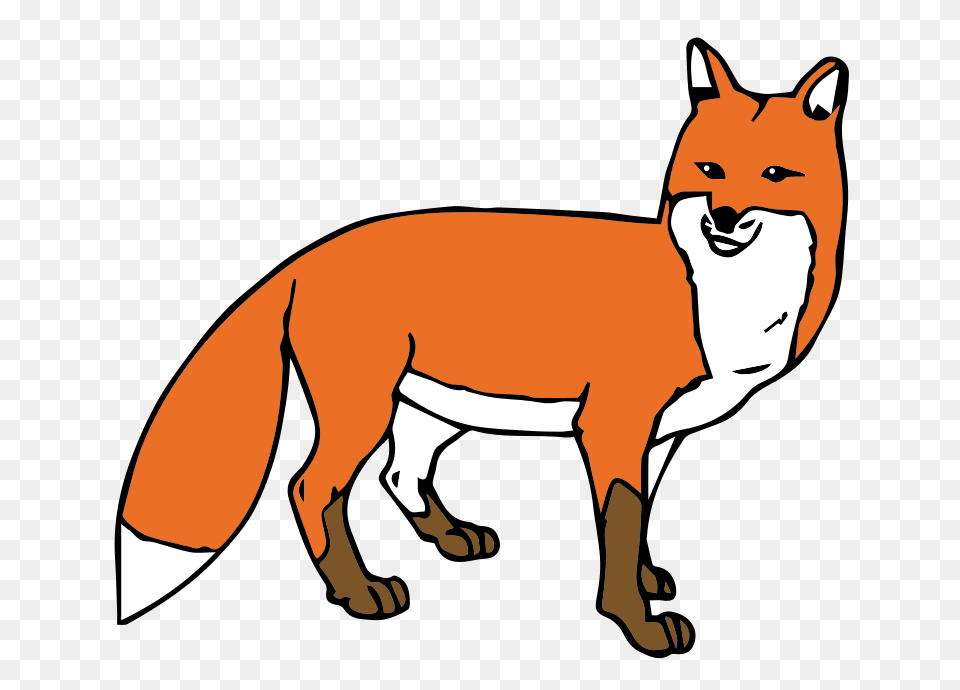 Fox Face Cliparts, Animal, Canine, Mammal, Red Fox Png