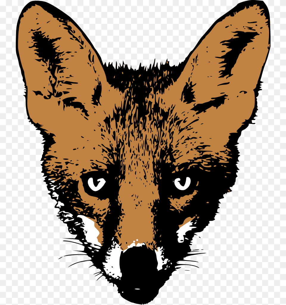 Fox Face Drawing Fox Face, Animal, Person, Mammal, Wildlife Free Png Download