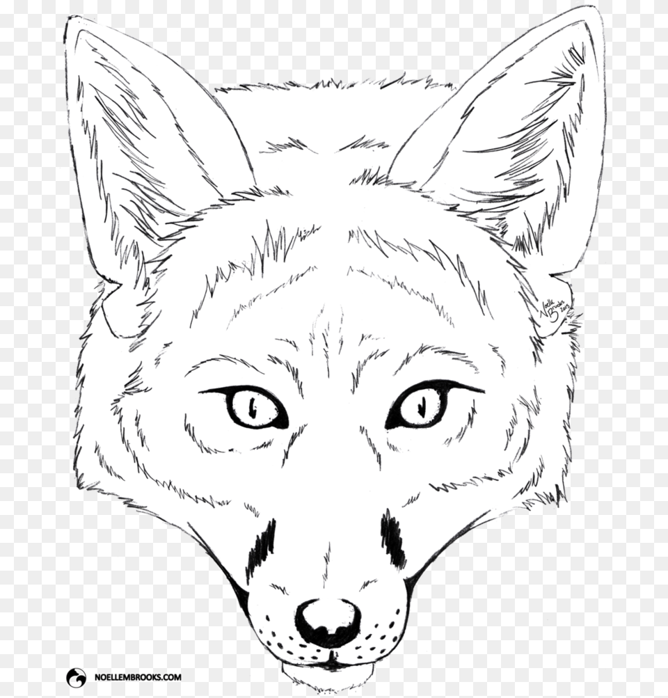 Fox Face Drawing Pictures Line Art, Baby, Person, Head Free Transparent Png