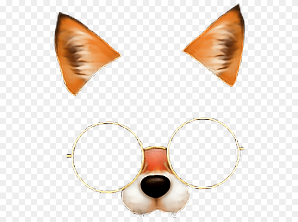 Fox Face Fox Glasses Stile Freetoedit Zorro Snow, Accessories, Sunglasses, Earring, Jewelry Png