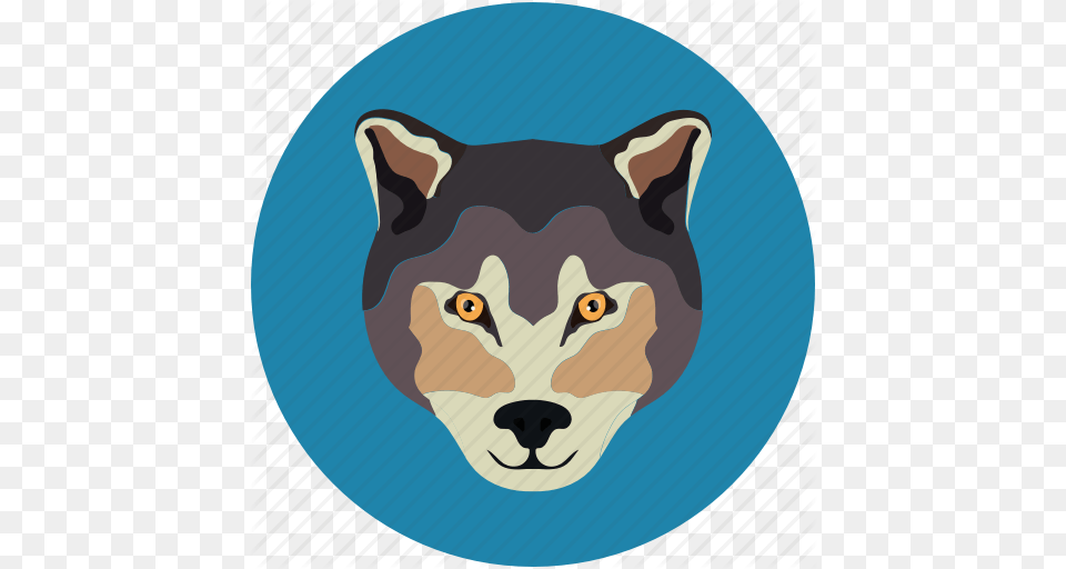 Fox Fox Face Wolf Wolf Face Icon, Animal, Canine, Dog, Husky Png