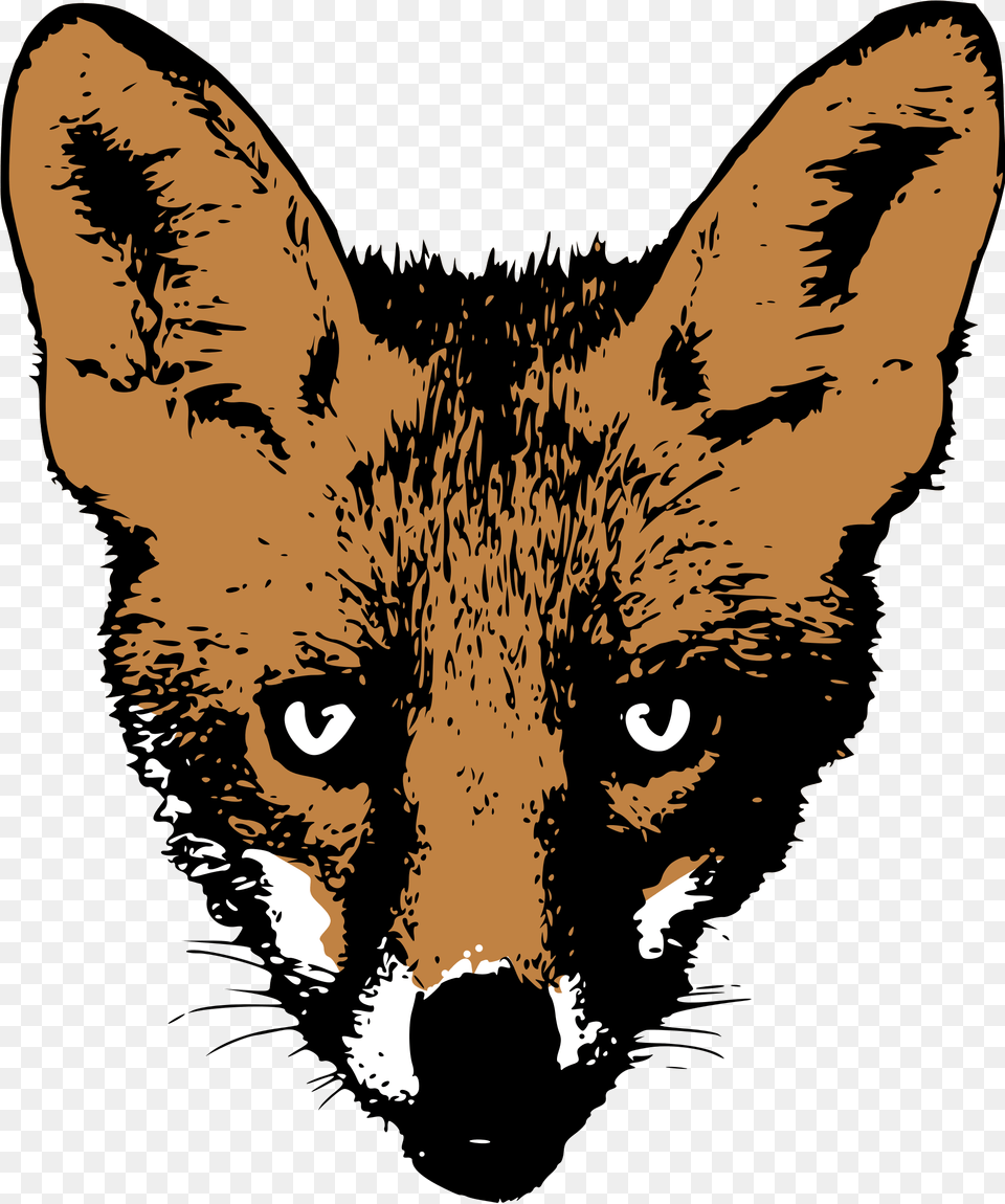 Fox Head 4 Image Fox Face, Animal, Person, Mammal, Wildlife Png