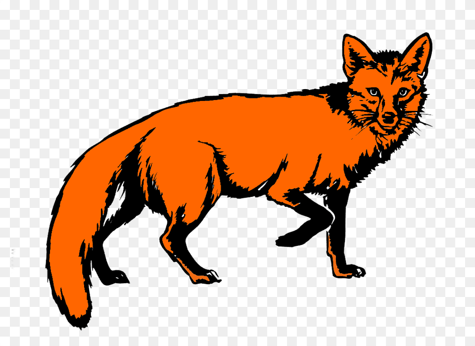 Fox Images, Animal, Canine, Mammal, Red Fox Png