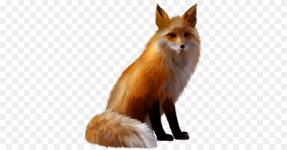 Fox Le Renard, Animal, Canine, Mammal, Red Fox Free Png Download