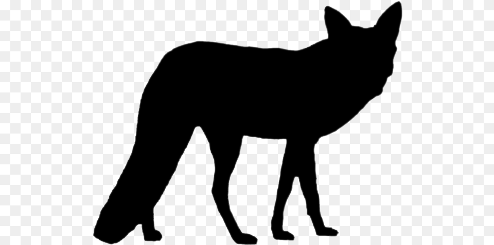Fox Silhouette Foxsilhouette Fox Silhouette, Animal, Coyote, Mammal, Cat Free Png Download