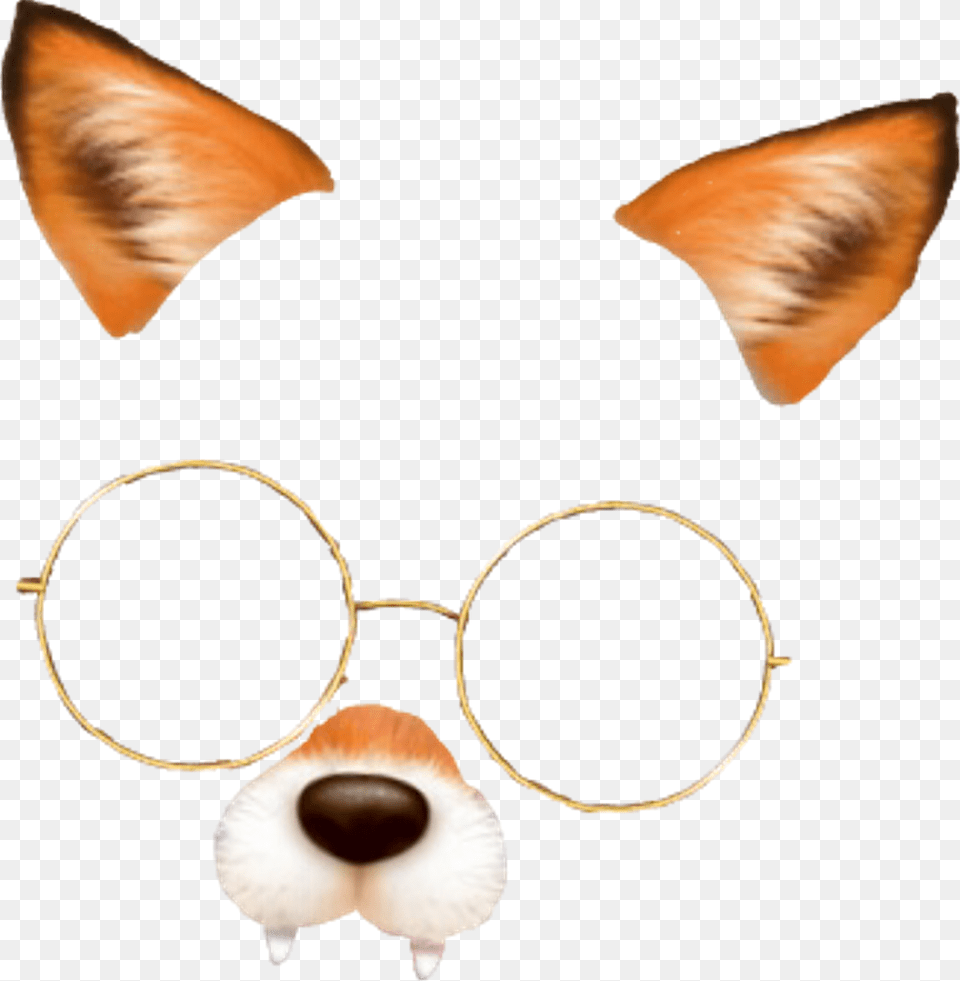 Fox Snow Snowfilter Snowfilters Snapchat Snapchatfilter Companion Dog, Accessories, Earring, Glasses, Jewelry Free Png Download