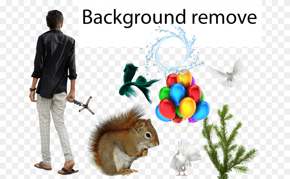Fox Squirrel, Balloon, Adult, Person, Man Free Png