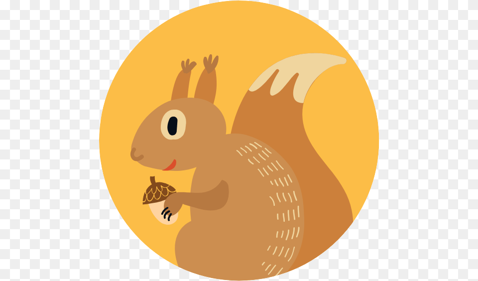 Fox Squirrel, Animal, Mammal, Wildlife Free Transparent Png