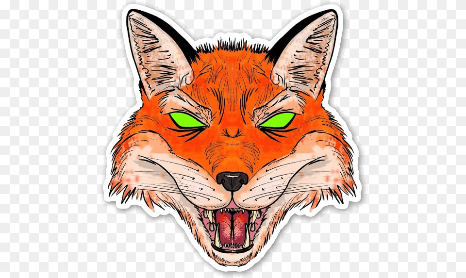 Fox Sticker Illustration, Animal, Mammal, Wildlife, Baby Png Image