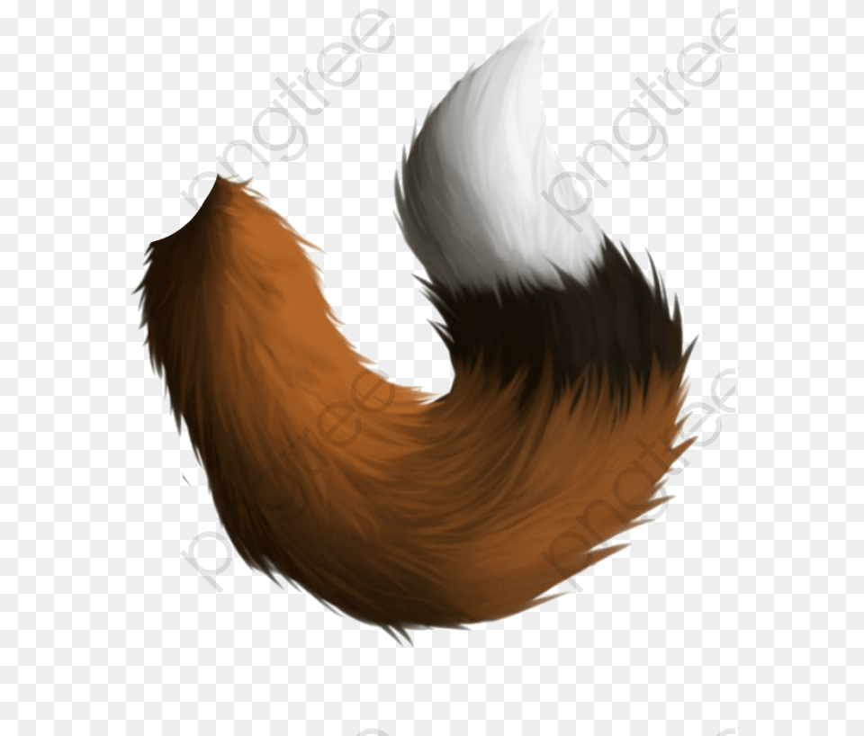 Fox Tail Fox Clipart Hand Painted Tail Transparent Fox Tail, Animal, Bird, Electronics, Hardware Png Image
