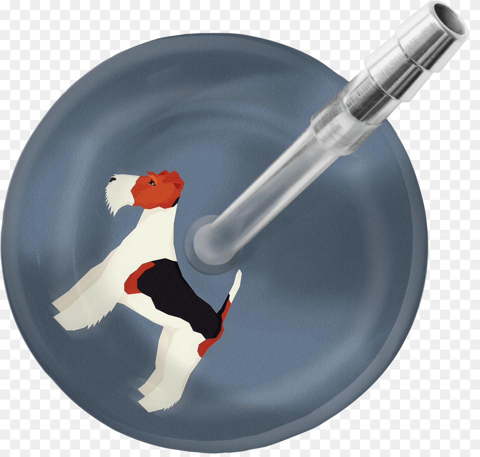 Fox Terrier Stethoscopeclass Stethoscope Ultrascope Avec Initiales, Plate Free Transparent Png