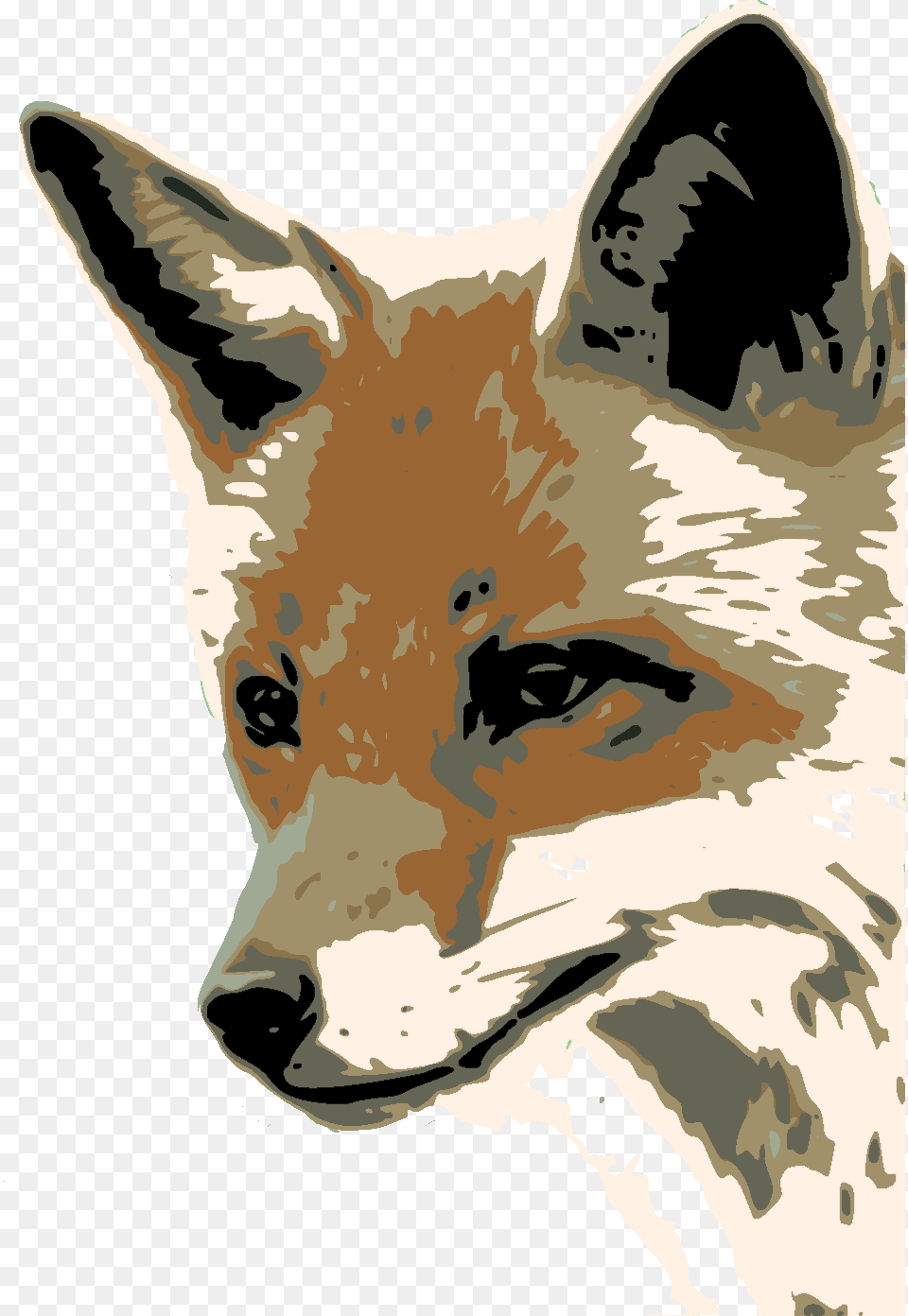 Foxface Dis Fox Face, Animal, Mammal, Wildlife, Canine Free Png