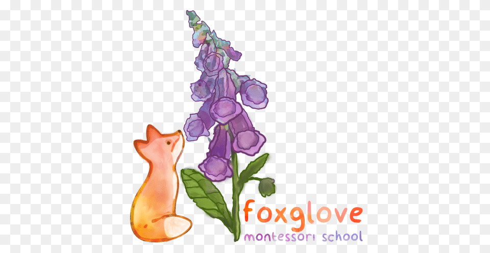 Foxglove Montessori, Flower, Plant, Animal, Cat Free Png Download