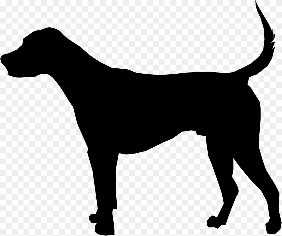 Foxhound Silhouette, Animal, Canine, Mammal, Pet Png