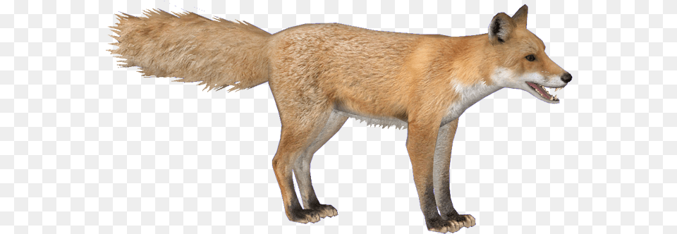Foxred Hendrix Zoo Tycoon 2 Fox, Animal, Canine, Dog, Mammal Free Transparent Png