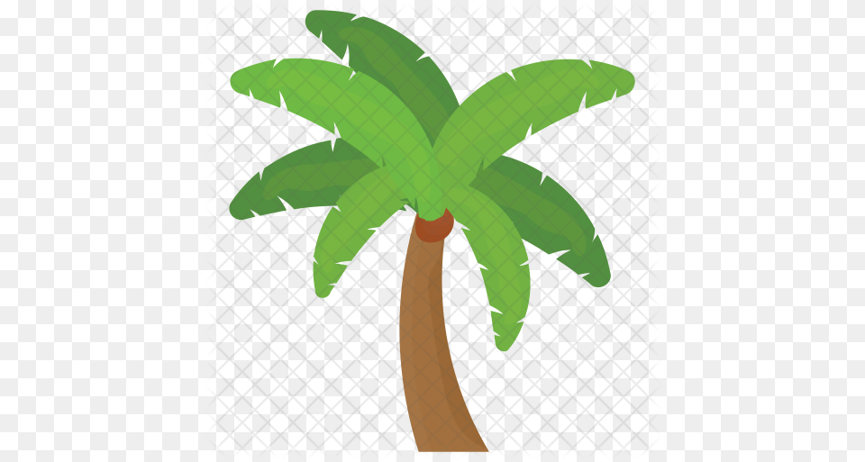 Foxtail Palm Tree Icon Ponyo Malabar, Palm Tree, Plant, Leaf Free Png
