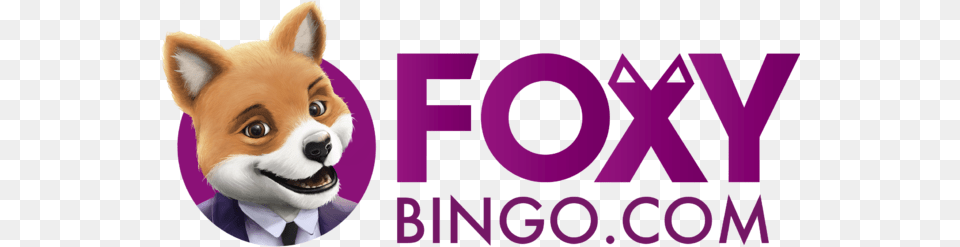 Foxy Bingo, Purple, Pet, Animal, Canine Free Transparent Png