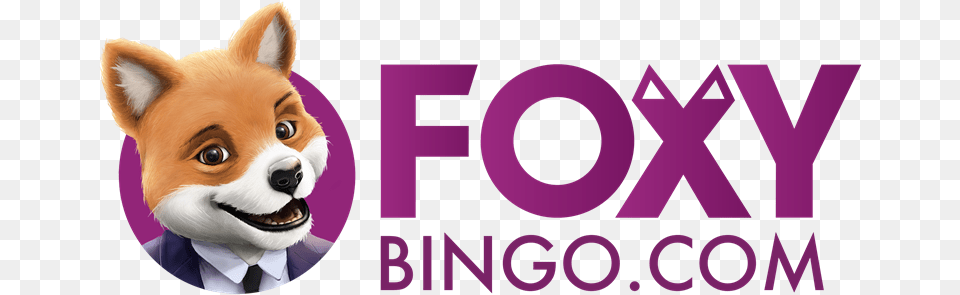 Foxy Bingo Launches New Marketing Campaign And Brand Foxy Bingo, Purple, Animal, Canine, Dog Png Image