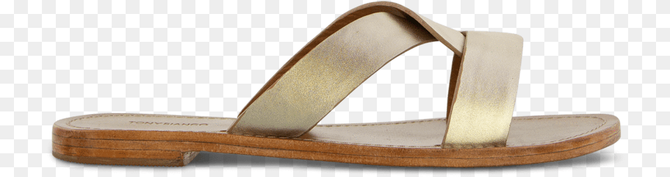 Foxy Platinum Nappa Metallic Default Slide Sandal, Clothing, Footwear Png