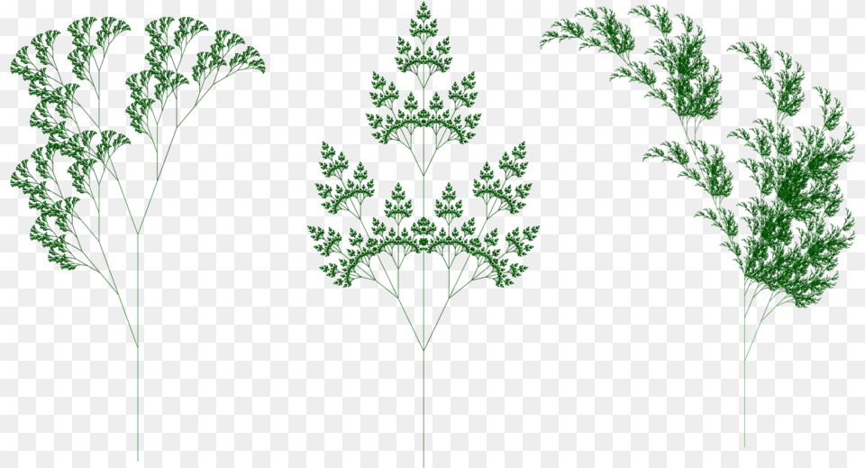 Fractal Plants Bottom Three Bouquet, Green, Herbs, Plant, Parsley Free Png Download