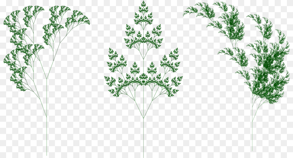 Fractal Plants Disquiet Fractal Plant, Green, Herbs, Parsley, Leaf Png