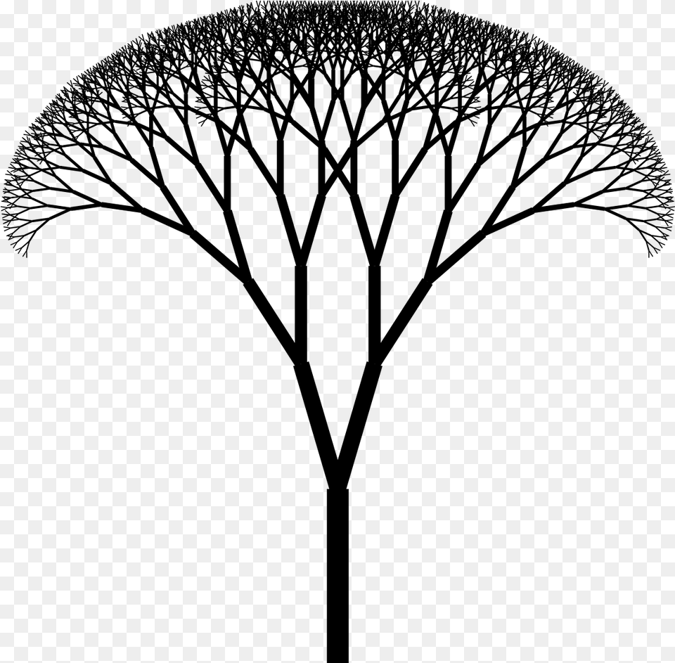 Fractal Tree, Gray Free Png Download