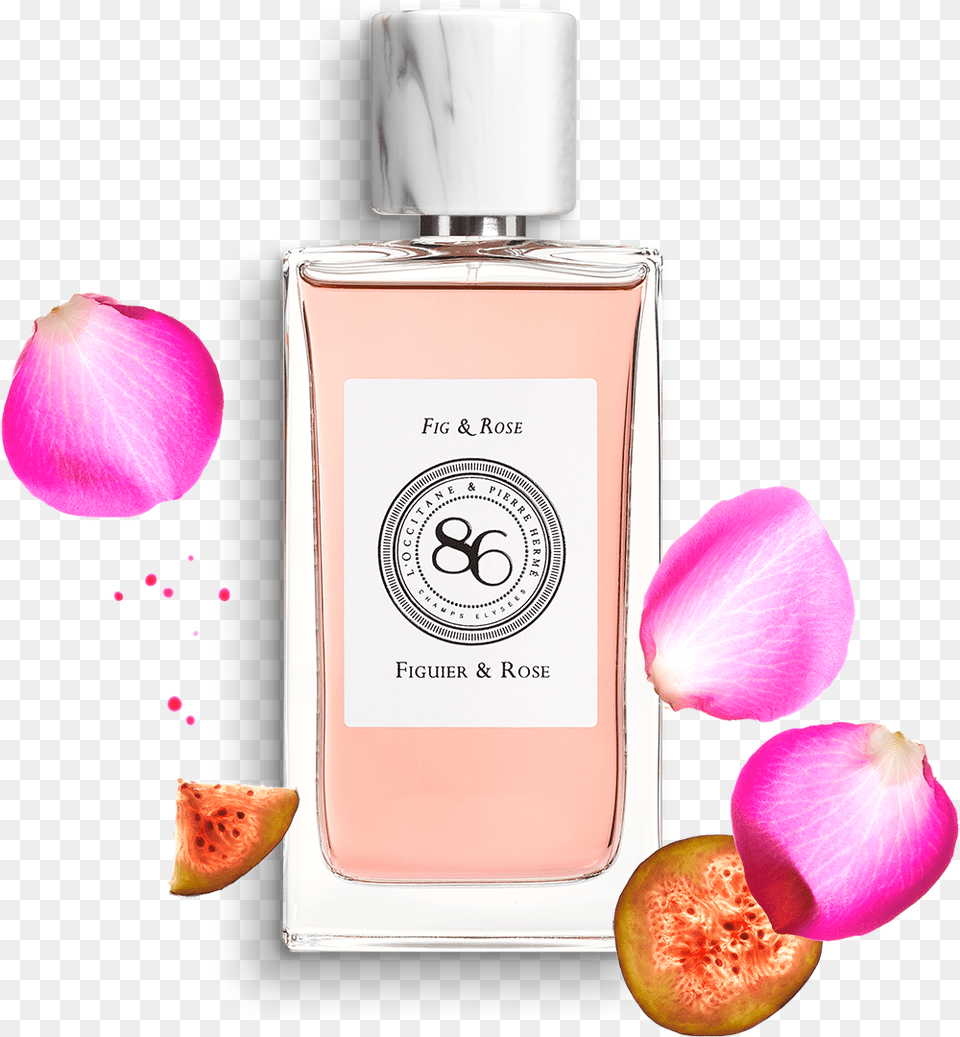 Fragrance Fig U0026 Rose Eau De Parfum Lu0027occitane L Occitane Fig And Rose, Bottle, Flower, Petal, Plant Free Png Download