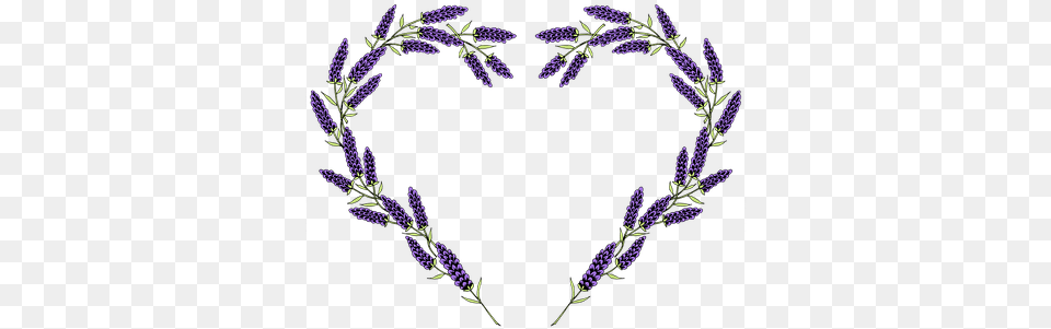 Fragrance Perfume Illustrations Lavender Heart, Flower, Plant, Purple, Pattern Free Png