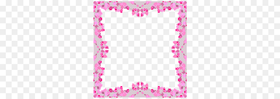 Frame Flower, Plant, Petal, Art Png