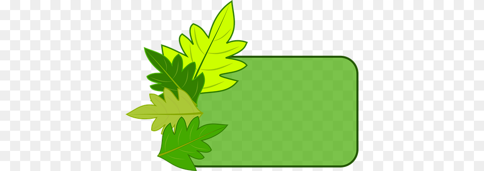 Frame Green, Herbal, Herbs, Leaf Free Png Download