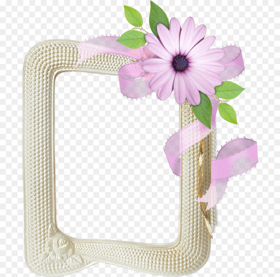 Frame, Daisy, Flower, Flower Arrangement, Plant Free Png