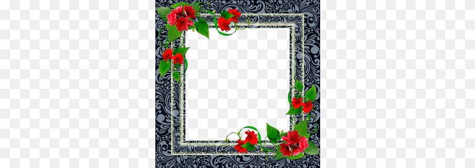 Frame Art, Floral Design, Flower, Graphics Free Transparent Png